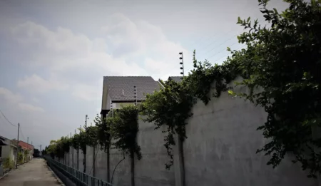 20180621_120650-450x261