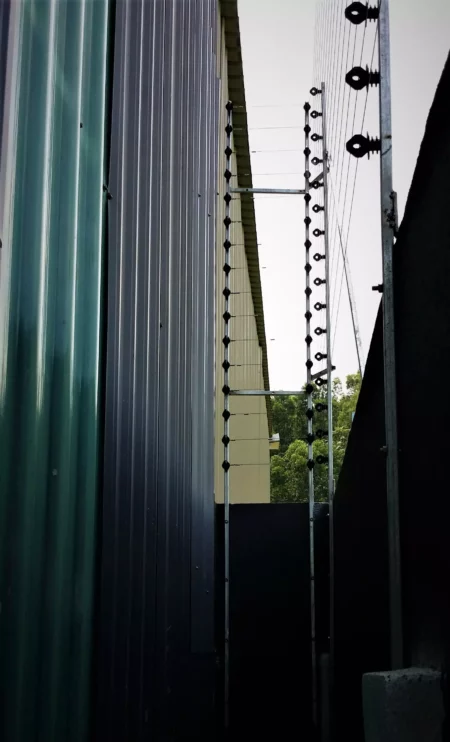 20190424_121458-450x742