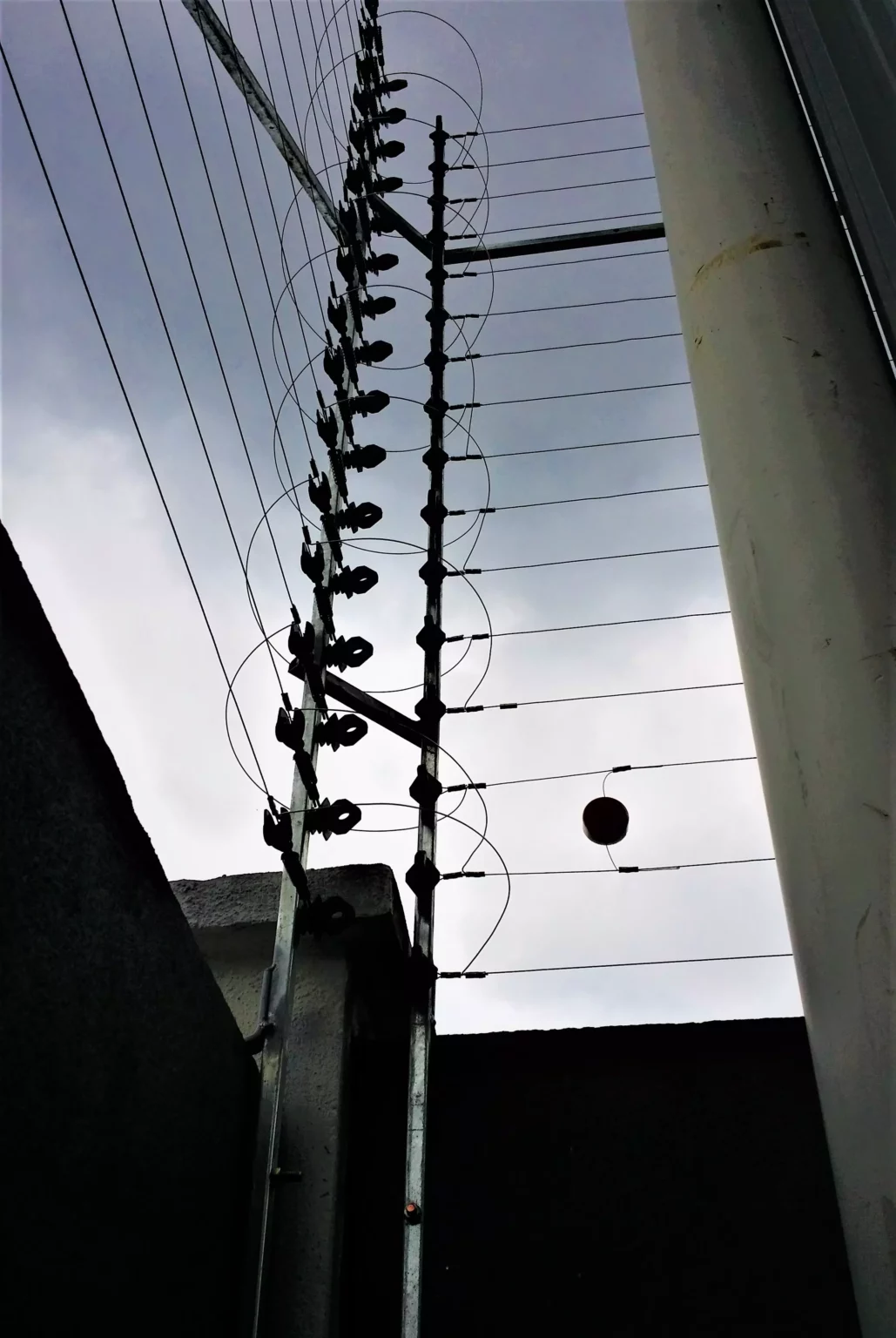 20190426_125602-1029x1536