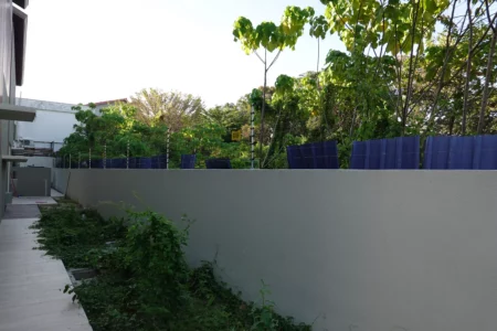DSC01519.JPG-450x300