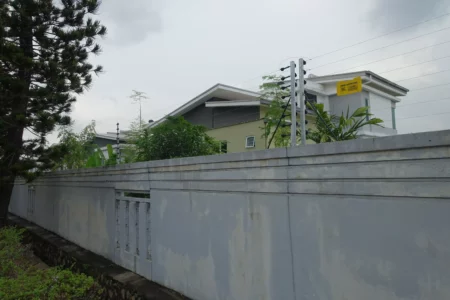 DSC05768.JPG-450x300