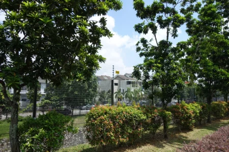 DSC05902.JPG-450x300