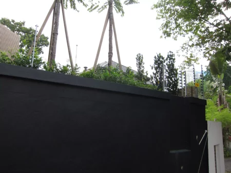 IMG_5022.JPG-450x338